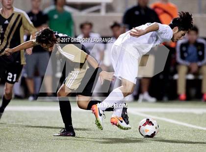 Thumbnail 2 in Rider vs Birdville photogallery.