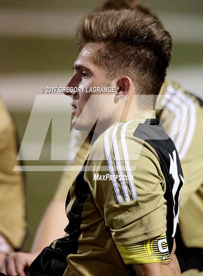 Thumbnail 3 in Rider vs Birdville photogallery.