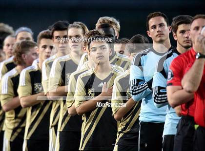 Thumbnail 2 in Rider vs Birdville photogallery.