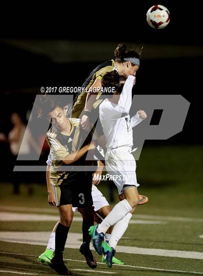 Thumbnail 3 in Rider vs Birdville photogallery.