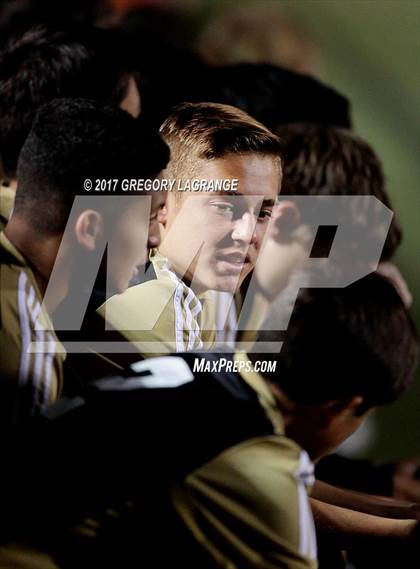 Thumbnail 1 in Rider vs Birdville photogallery.