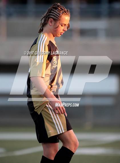 Thumbnail 1 in Rider vs Birdville photogallery.