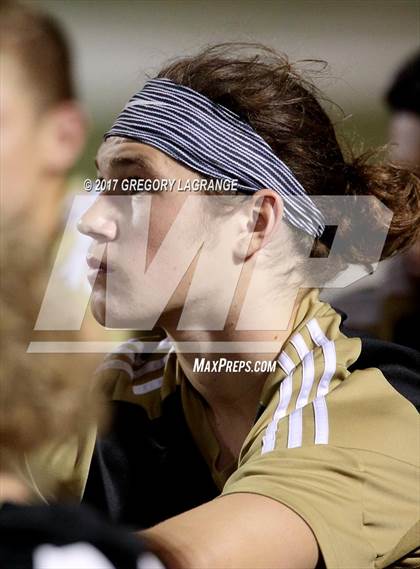 Thumbnail 2 in Rider vs Birdville photogallery.