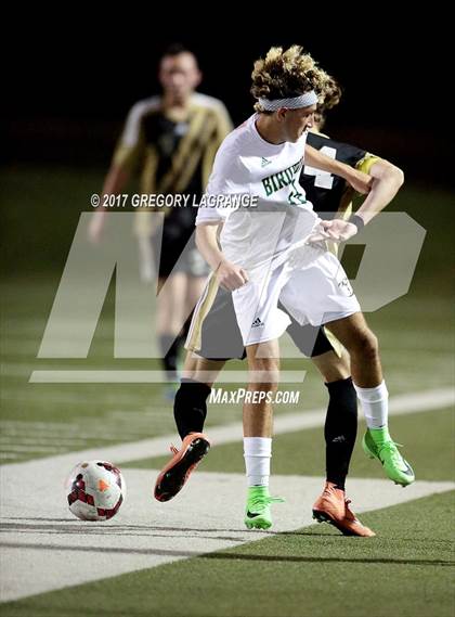 Thumbnail 1 in Rider vs Birdville photogallery.
