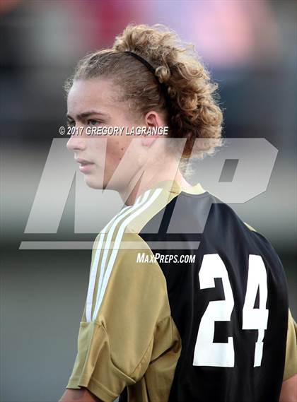 Thumbnail 3 in Rider vs Birdville photogallery.