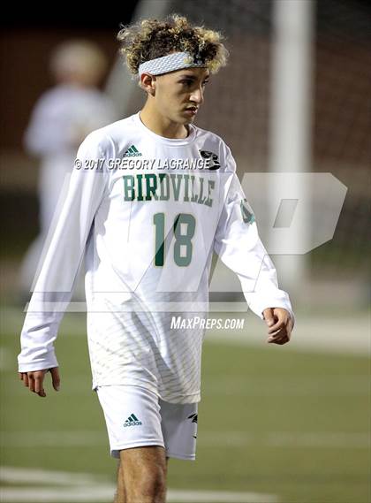 Thumbnail 1 in Rider vs Birdville photogallery.