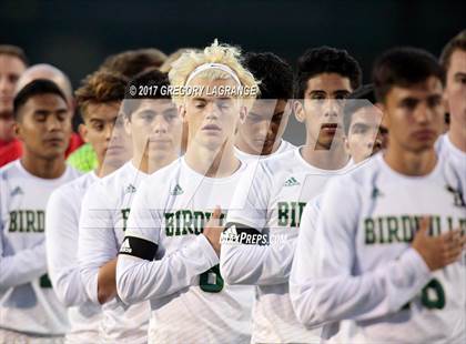 Thumbnail 2 in Rider vs Birdville photogallery.