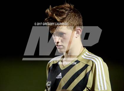 Thumbnail 1 in Rider vs Birdville photogallery.