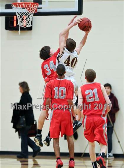 Thumbnail 1 in Antelope @ Whitney photogallery.