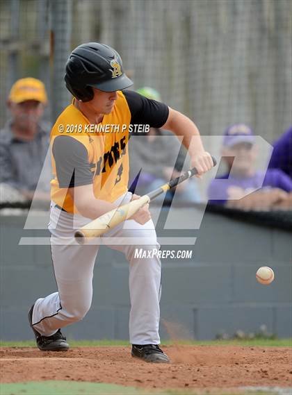Thumbnail 3 in St. Amant @ Thibodaux photogallery.