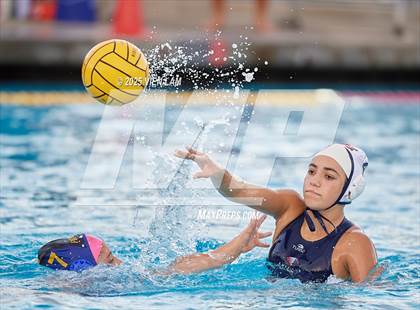 Thumbnail 1 in American @ Foothill photogallery.