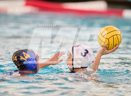 Thumbnail 1 in American @ Foothill photogallery.