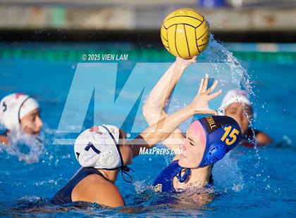 Thumbnail 3 in American @ Foothill photogallery.