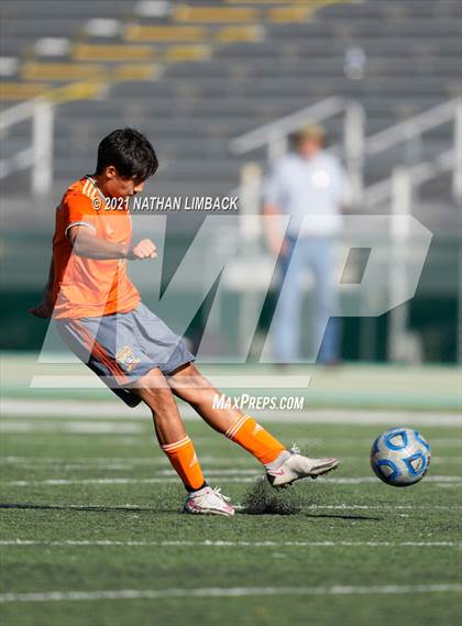Thumbnail 1 in Artesia @ Los Alamos photogallery.