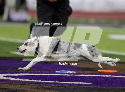 Thumbnail 1 in Peoria @ Mascoutah (IHSA 5A Quarterfinal) photogallery.