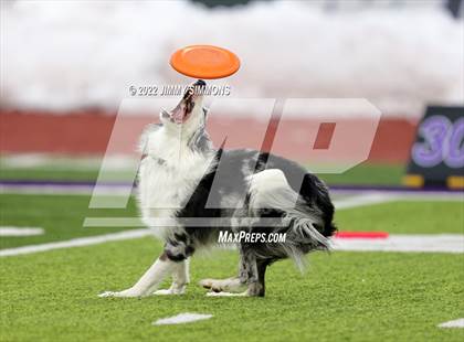 Thumbnail 1 in Peoria @ Mascoutah (IHSA 5A Quarterfinal) photogallery.