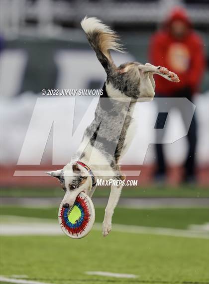 Thumbnail 2 in Peoria @ Mascoutah (IHSA 5A Quarterfinal) photogallery.