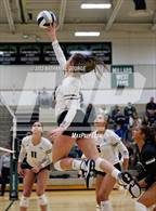 Photo from the gallery "Marian @ Millard West"
