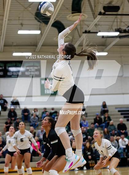 Thumbnail 2 in Marian @ Millard West photogallery.