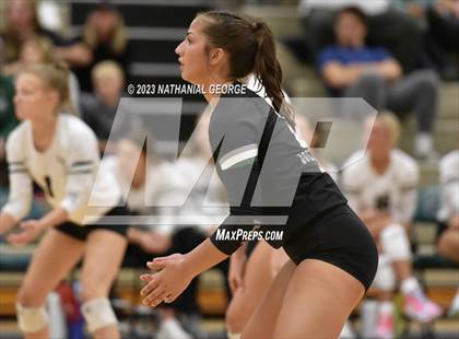 Thumbnail 2 in Marian @ Millard West photogallery.