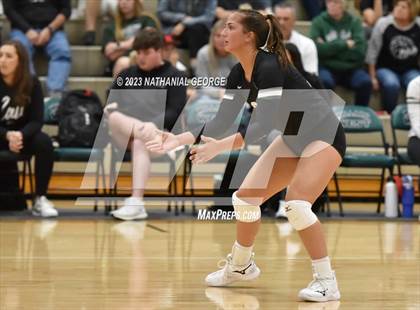 Thumbnail 2 in Marian @ Millard West photogallery.