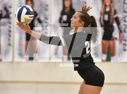 Thumbnail 3 in Marian @ Millard West photogallery.