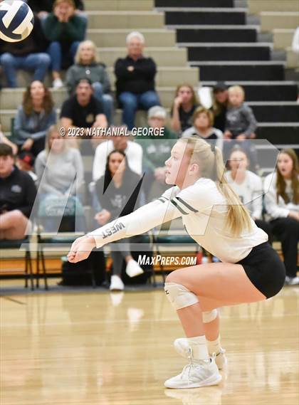 Thumbnail 1 in Marian @ Millard West photogallery.