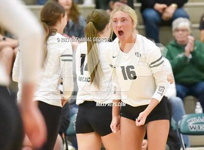 Thumbnail 1 in Marian @ Millard West photogallery.