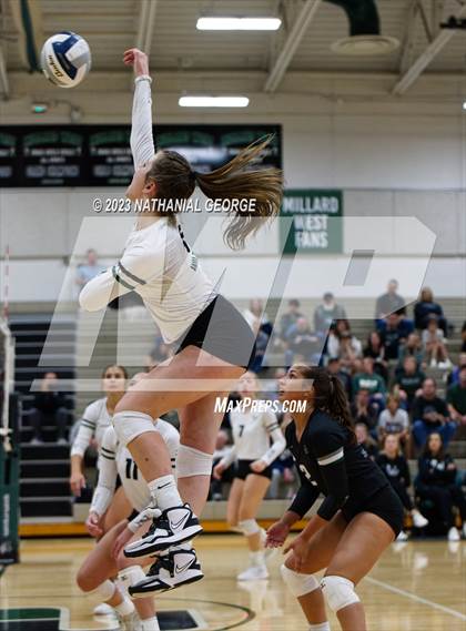 Thumbnail 1 in Marian @ Millard West photogallery.