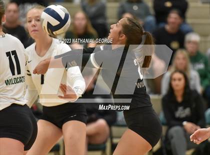 Thumbnail 1 in Marian @ Millard West photogallery.