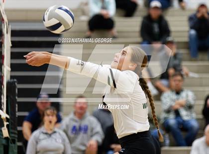Thumbnail 1 in Marian @ Millard West photogallery.