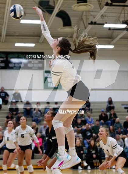 Thumbnail 3 in Marian @ Millard West photogallery.
