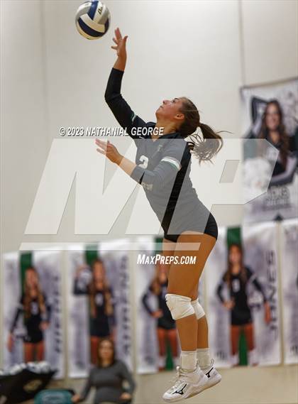 Thumbnail 1 in Marian @ Millard West photogallery.
