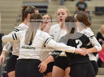 Thumbnail 1 in Marian @ Millard West photogallery.