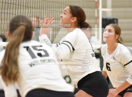 Thumbnail 2 in Marian @ Millard West photogallery.