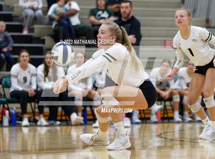 Thumbnail 1 in Marian @ Millard West photogallery.