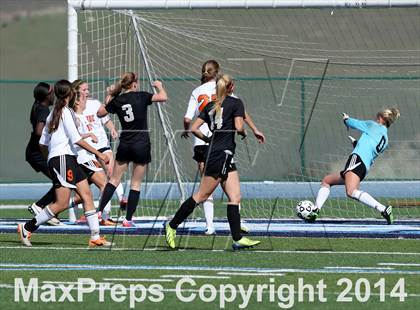 Thumbnail 2 in Archbishop Mitty vs. Woodside (CIF CCS D2 Final) photogallery.