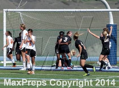 Thumbnail 2 in Archbishop Mitty vs. Woodside (CIF CCS D2 Final) photogallery.