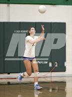 Photo from the gallery "Valencia @ Canyon"