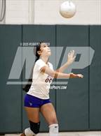 Photo from the gallery "Valencia @ Canyon"