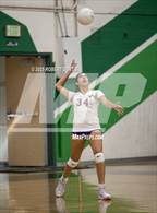 Photo from the gallery "Valencia @ Canyon"