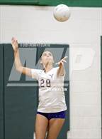 Photo from the gallery "Valencia @ Canyon"