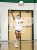 Photo from the gallery "Valencia @ Canyon"