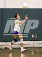 Photo from the gallery "Valencia @ Canyon"