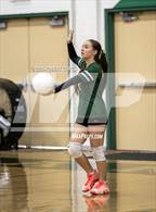 Photo from the gallery "Valencia @ Canyon"