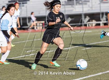 Thumbnail 3 in Vista Grande vs Fairfax (Pride in Paradise Tournament) photogallery.