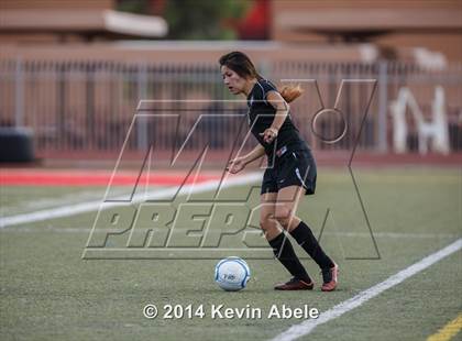 Thumbnail 1 in Vista Grande vs Fairfax (Pride in Paradise Tournament) photogallery.