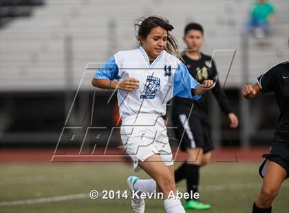 Thumbnail 3 in Vista Grande vs Fairfax (Pride in Paradise Tournament) photogallery.
