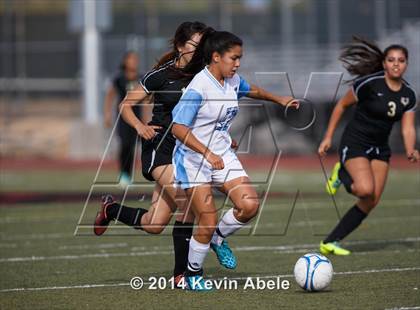 Thumbnail 3 in Vista Grande vs Fairfax (Pride in Paradise Tournament) photogallery.