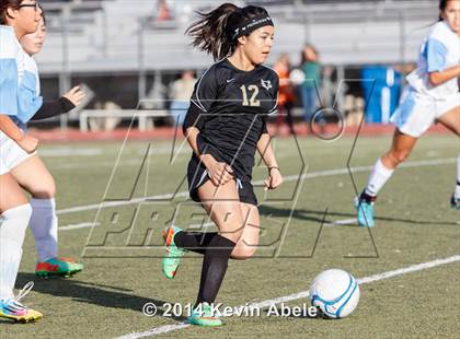 Thumbnail 2 in Vista Grande vs Fairfax (Pride in Paradise Tournament) photogallery.